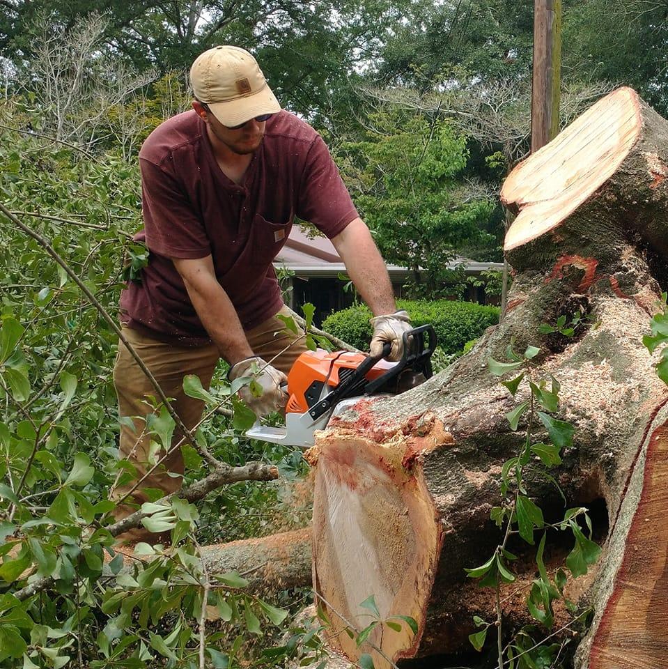 JoWi Tree Service team performing professional tree removal in Macon County, Geprgoa