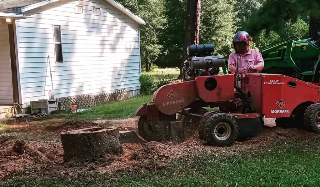 stumpgrinder